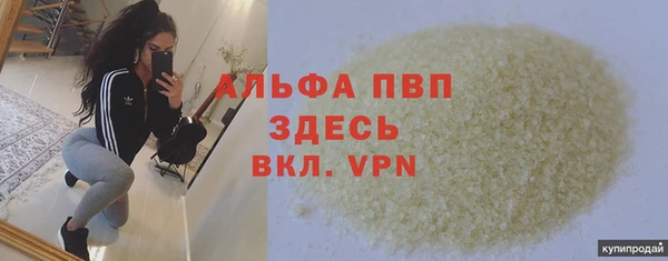 стафф Волоколамск