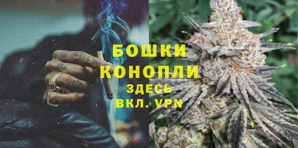 ECSTASY Вяземский