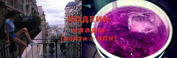 крисы Верхний Тагил