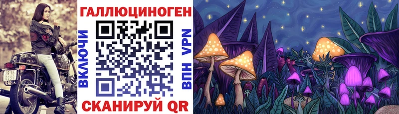 Псилоцибиновые грибы мухоморы  Инта 